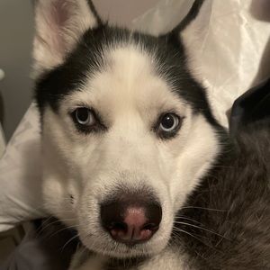 Meet your Posher, Angie